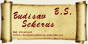 Budisav Sekeruš vizit kartica